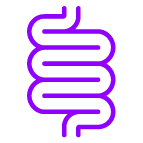 Purple outlined intestine icon on a white background, symbolising digestive health and gastrointestinal system.